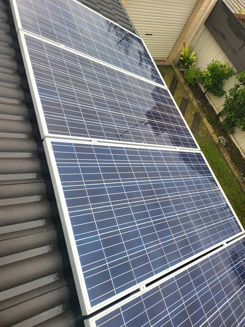 Clean solar panels on a corrugated roof with trees behind