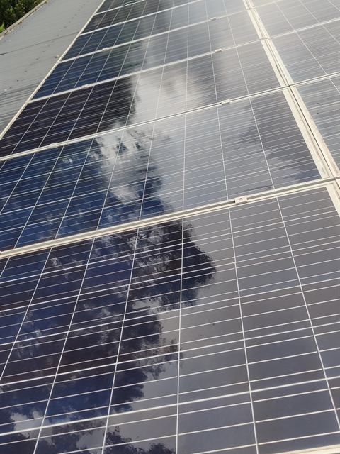 Solar panel row reflecting trees and blue sky